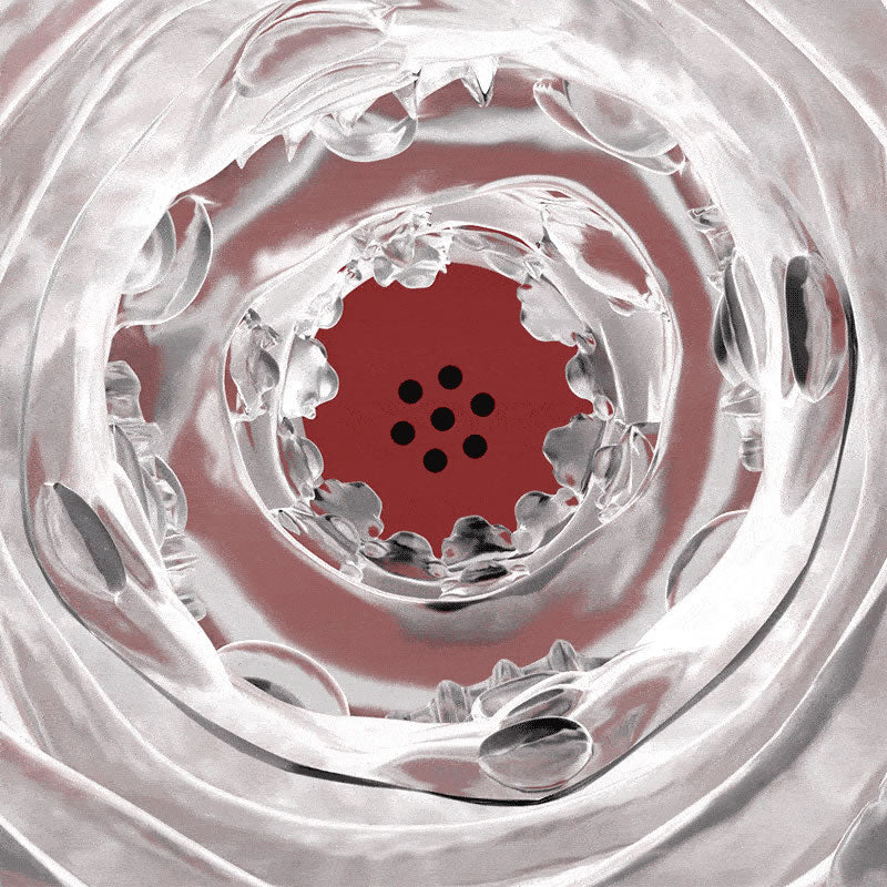 DREAMER 9 Mode Vibrating & Sucking 2 IN 1 Lips Penis Pumps