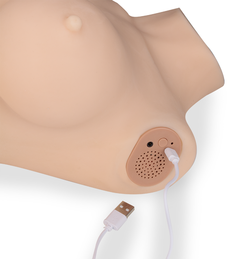 Adeline ass, breasts and vagina masturbator 23 lb