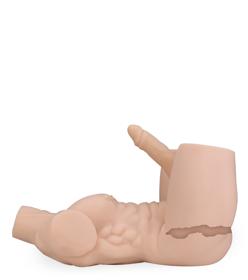 Alessandro male sex torso with anus and bendable penis 20 lb