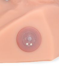 Load image into Gallery viewer, Amaury vibrating ass masturbator with vibrating thrusting penis 5.00 lb