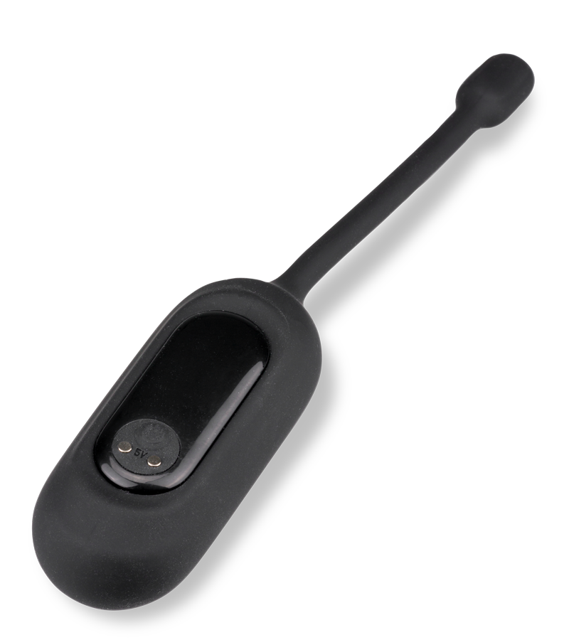 &quot;Anal Pleasure Discovery&quot; pleasure pack