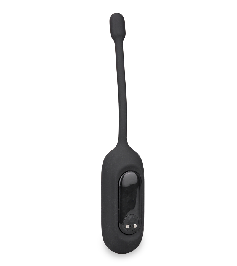 &quot;Anal Pleasure Discovery&quot; pleasure pack