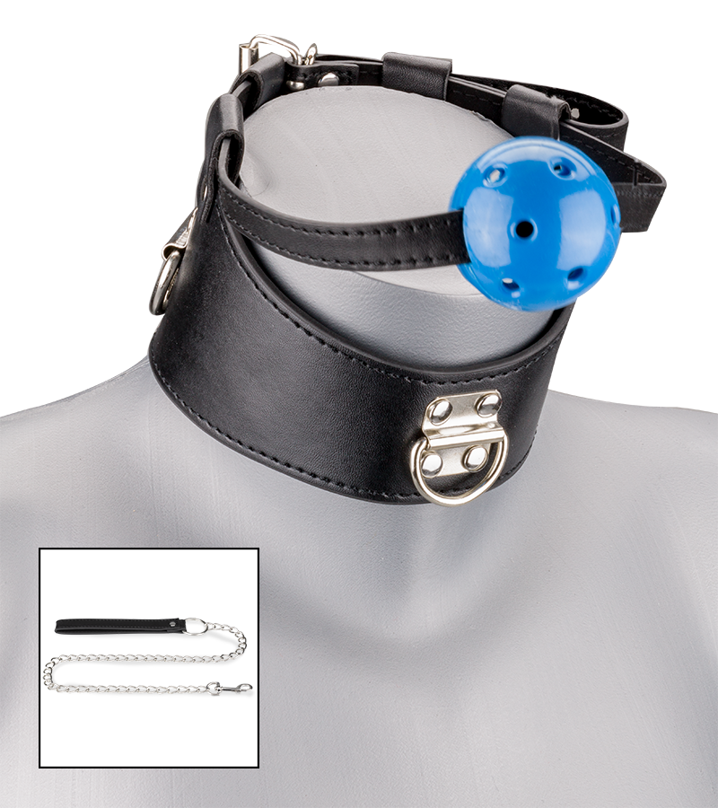Ball gag and leather collar