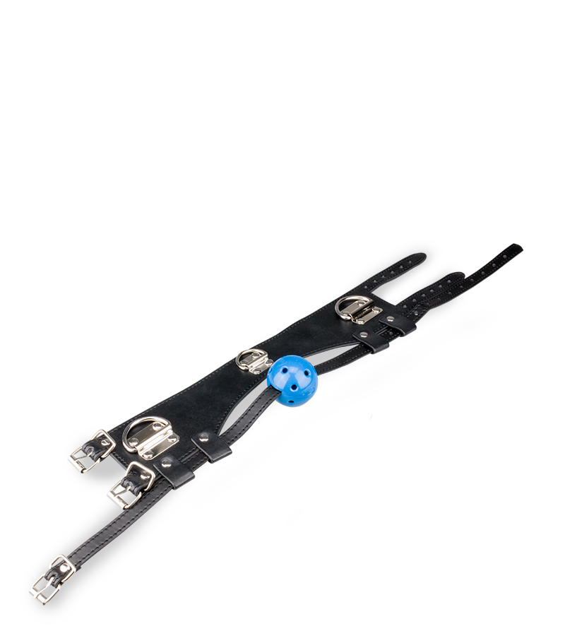 Ball gag and leather collar