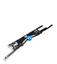 Load image into Gallery viewer, Ball gag and leather collar