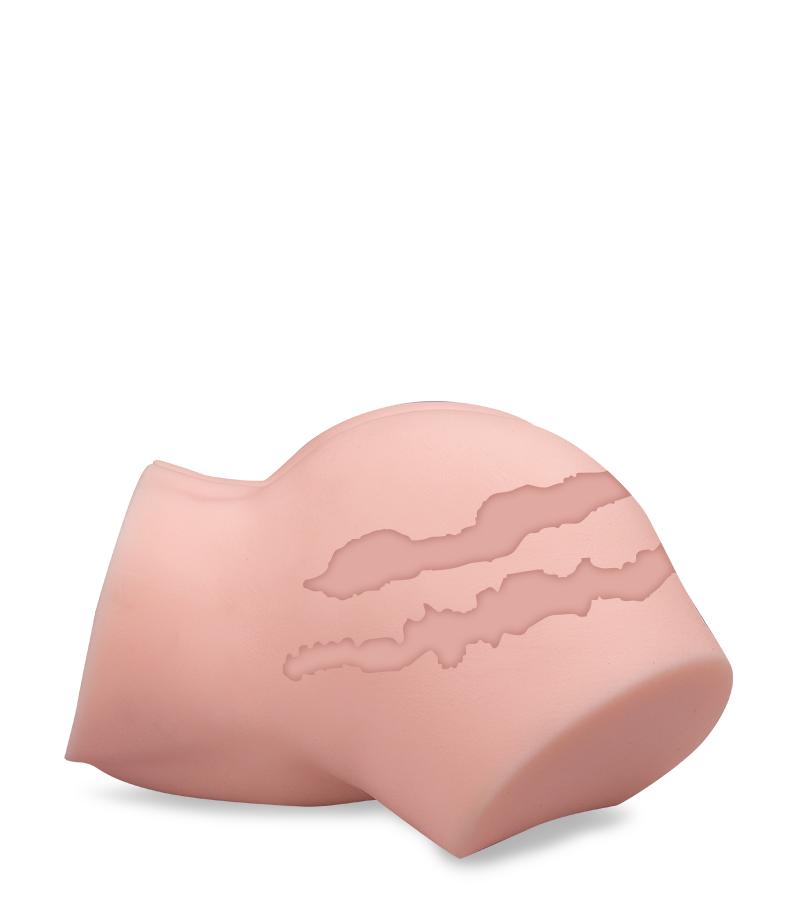 Barbara realistic ass and vagina 11.75 lb