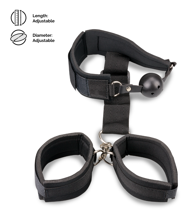 BDSM kit with ball gag and handcuffs