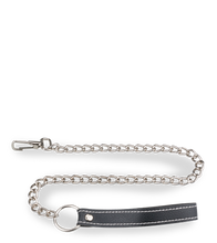 Load image into Gallery viewer, BDSM metal leash 30.75 inches