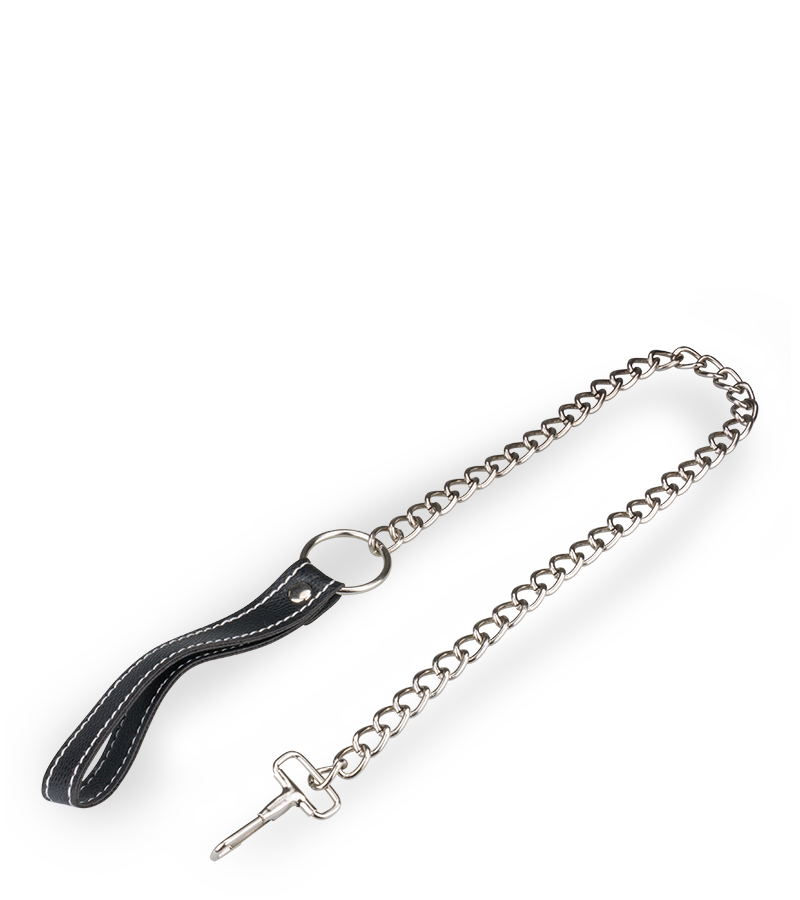 BDSM metal leash 30.75 inches