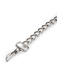 Load image into Gallery viewer, BDSM metal leash 30.75 inches