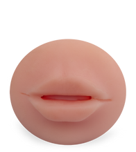 Load image into Gallery viewer, Beverly vagina and mouth masturbator