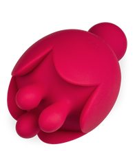 Load image into Gallery viewer, Bis clit stimulator and massager