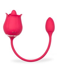 Load image into Gallery viewer, Blooming clit stimulator and love egg