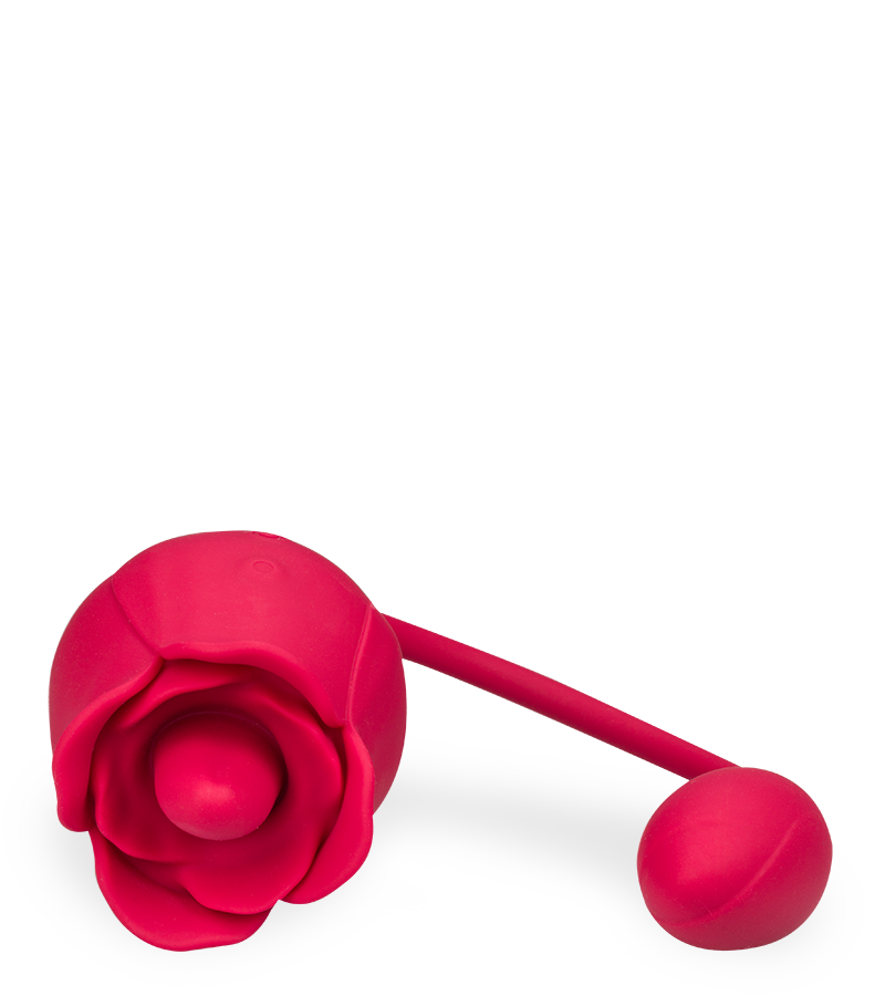 Blooming clit stimulator and love egg
