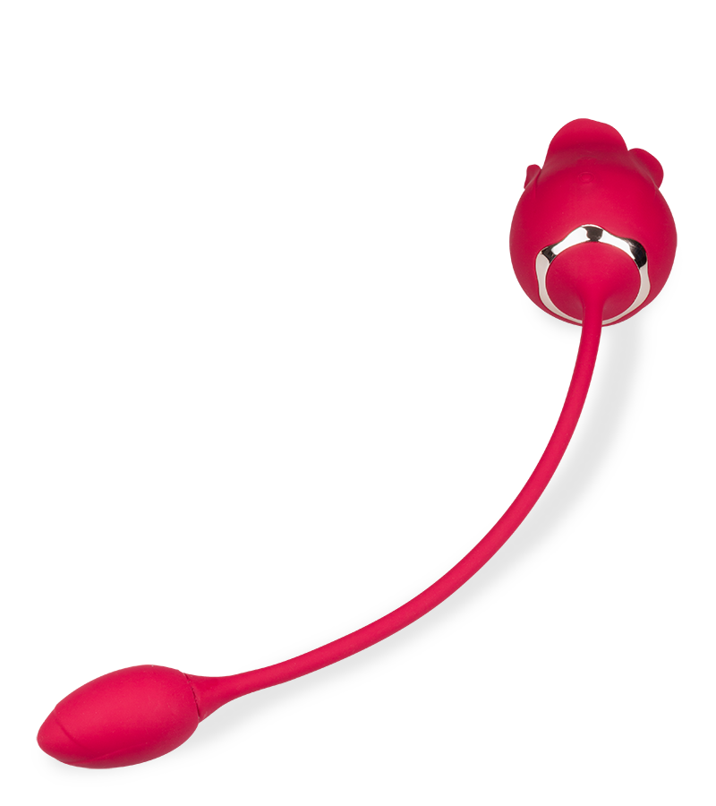 Blooming clit stimulator and love egg