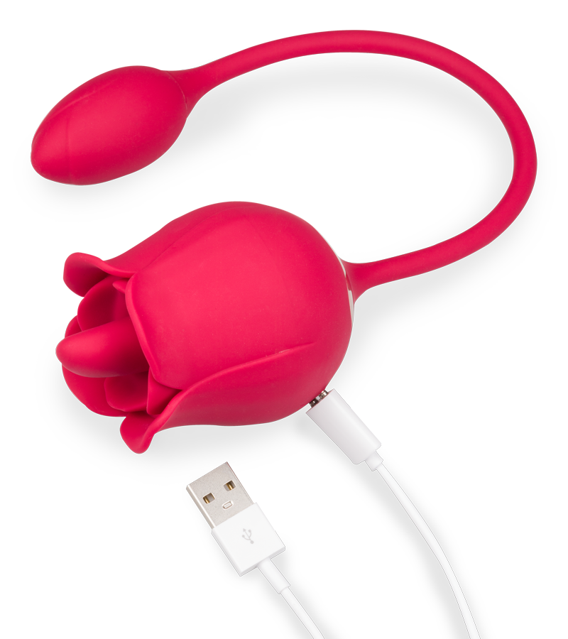 Blooming clit stimulator and love egg