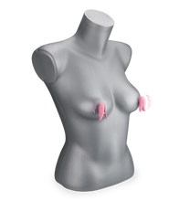 Load image into Gallery viewer, Bubble Gum vibrating nipple clamps 10 modes