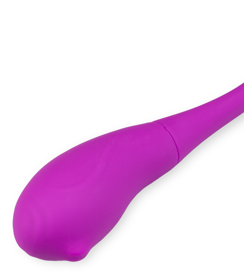 Bulbi double vibrating egg