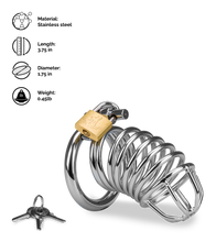Load image into Gallery viewer, Captive penis chastity cage