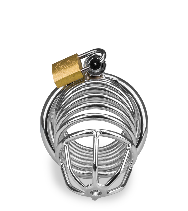 Captive penis chastity cage