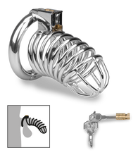 Load image into Gallery viewer, Capture male chastity cage