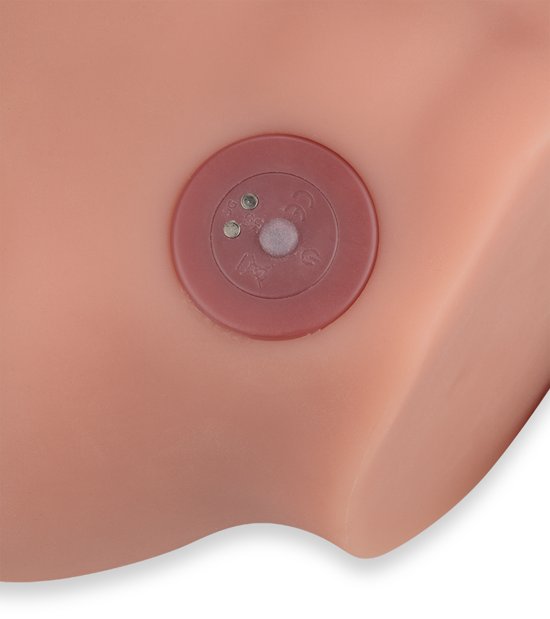 Carlos male ass masturbator with 6.25-inch thrusting penis