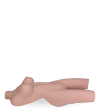 Load image into Gallery viewer, Daniela sex torso 24 lb