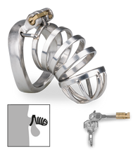 Load image into Gallery viewer, Decision penis cage