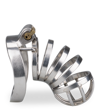 Load image into Gallery viewer, Decision penis cage