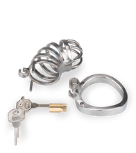 Load image into Gallery viewer, Decision penis cage