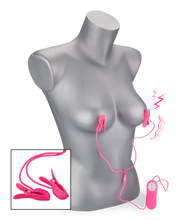 Load image into Gallery viewer, Electro-shock nipple clamps