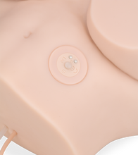 Load image into Gallery viewer, Emy masturbator with suction and vibrations 6 lb