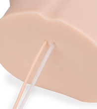 Load image into Gallery viewer, Emy masturbator with suction and vibrations 6 lb