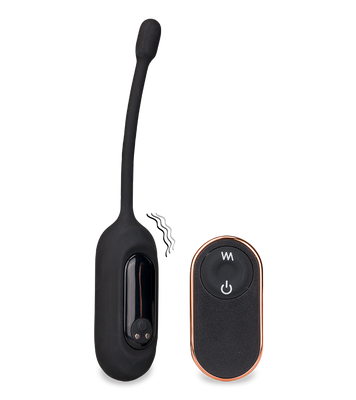 Eureka remote control vibrating egg