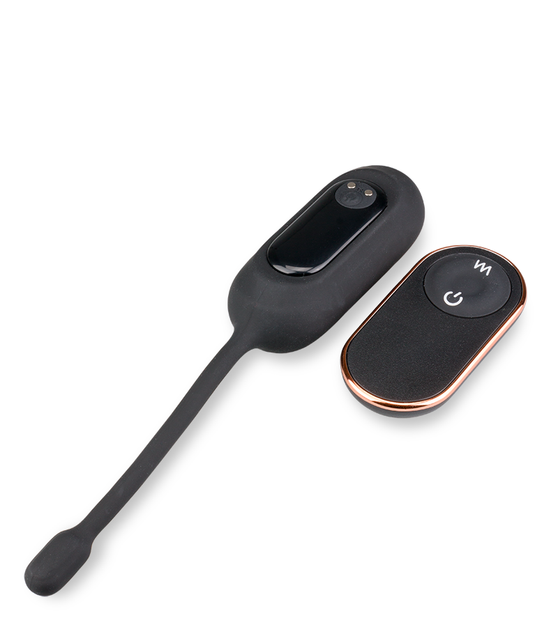 Eureka remote control vibrating egg