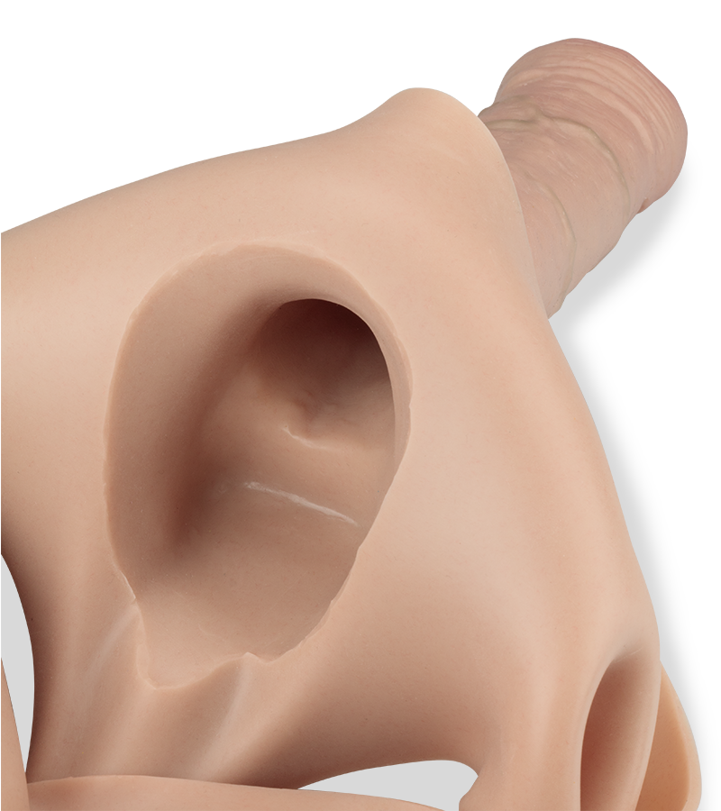 Fabio strap-on hollow second skin dildo realistic XXL