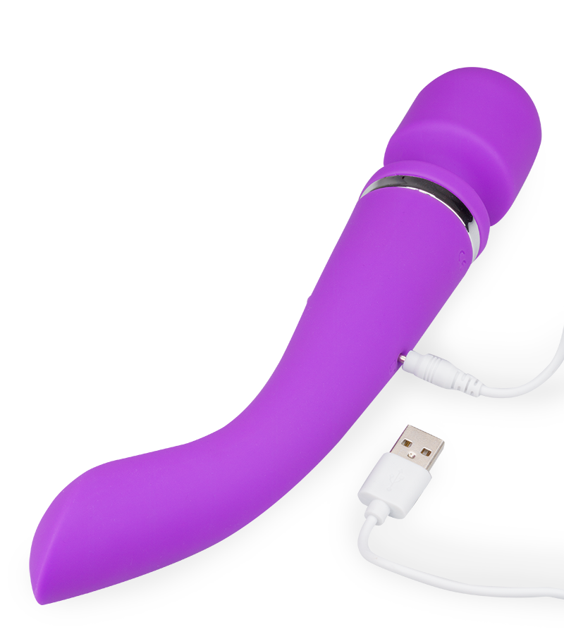 Fantasy Wand vibrator and classic vibrator