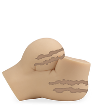 Load image into Gallery viewer, FF threesome masturbator 12.50 lb