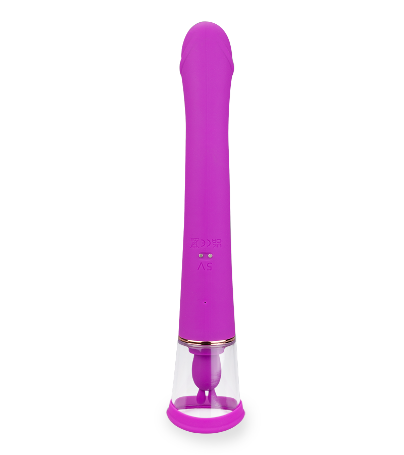 Fine rabbit vibrator with pussy pump