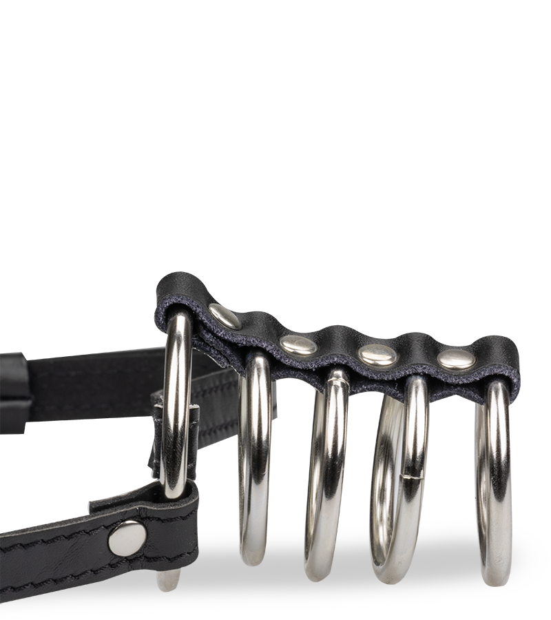 Five-ring metal cock cage