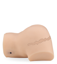 Load image into Gallery viewer, Gina thrusting and vibrating masturbator 9 lb