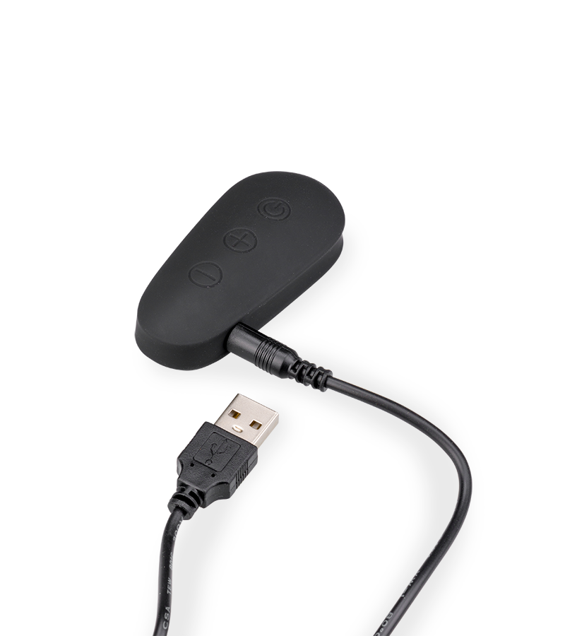 Gold vibrating love egg with wireless remote control