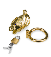 Load image into Gallery viewer, Golden Dragon Chinese zodiac penis chastity cage