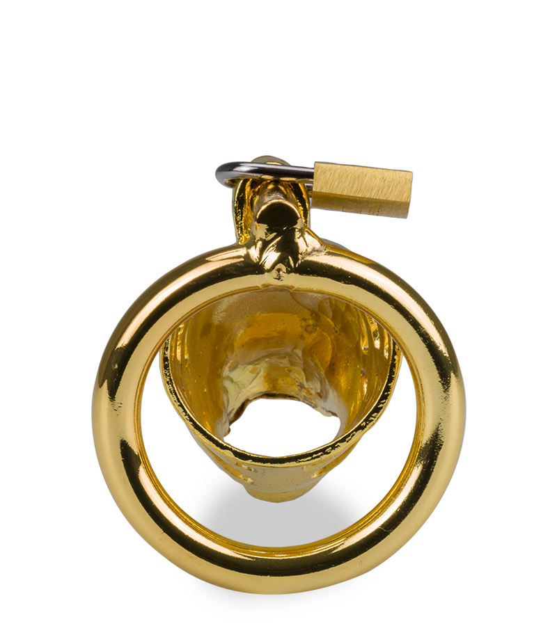 Golden Dragon Chinese zodiac penis chastity cage