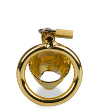 Load image into Gallery viewer, Golden Dragon Chinese zodiac penis chastity cage