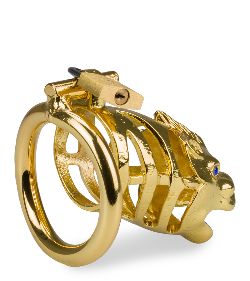 Golden Dragon Chinese zodiac penis chastity cage