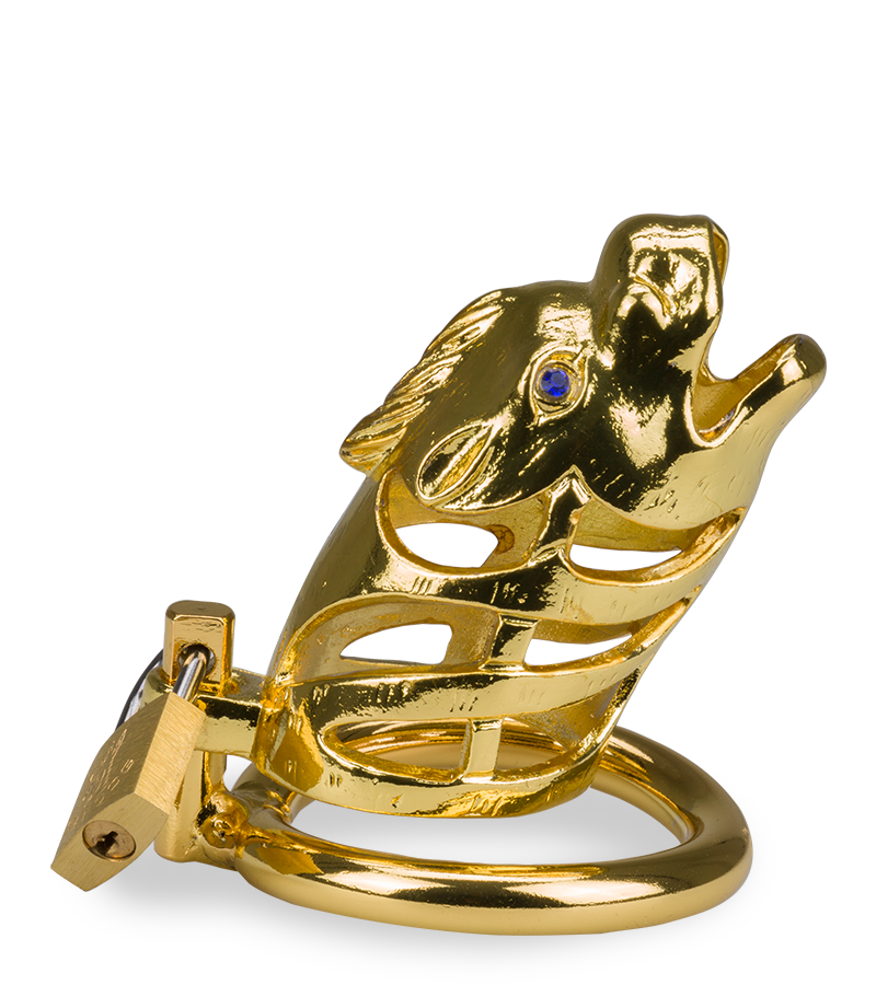 Golden Dragon Chinese zodiac penis chastity cage