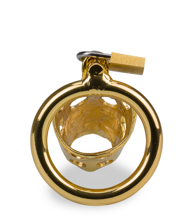 Golden Pig Chinese zodiac penis chastity cage