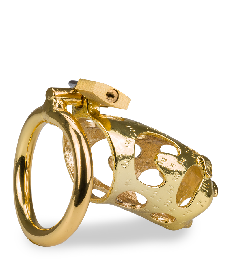 Golden Pig Chinese zodiac penis chastity cage