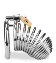 Load image into Gallery viewer, Hell Spiral cock cage